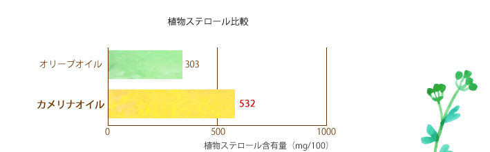 【カメリナオイル】効果、効能使い方