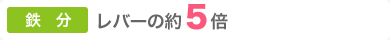 鉄分がレバーの約5倍