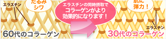 エラスチンの同時摂取でコラーゲンがより効果的になります！