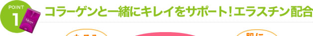 コラーゲンと一緒にキレイをサポート！エラスチン配合