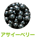 アサイベリーの成分イメージ