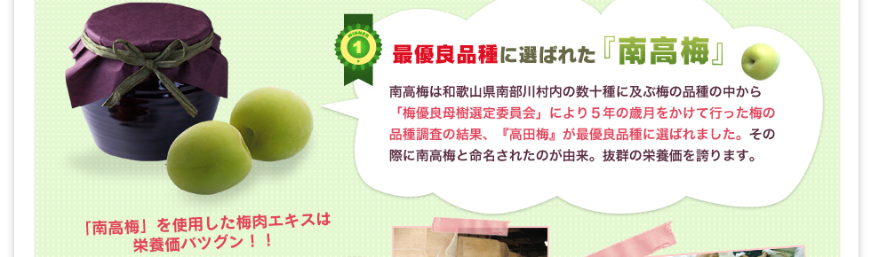 梅肉に仕様の『高田梅』が最優良品種に  